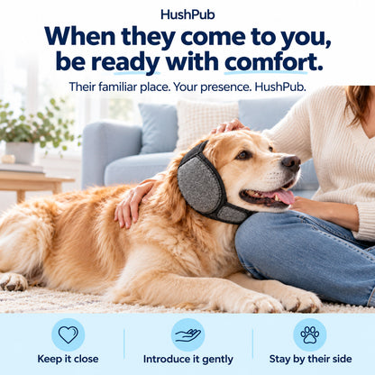 HushPub™ – Ear Protection for Dogs